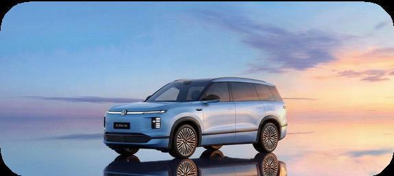 Volkswagen ID. ERA 9X – Màu xe và tâm lý giữ giá